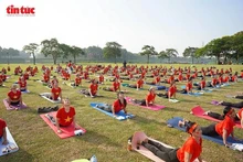 Más de mil instructores, practicantes y entusiastas del yoga se reúnen en el Parque Yen So, en Hanói. (Foto: VNA)