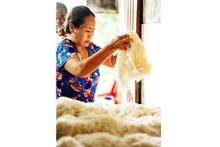 La aldea de producción artesanal de fideos Van Cu
