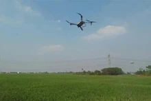 Un dron utilizado para la pulverización de pesticidas en la agricultura (Foto: VNA)