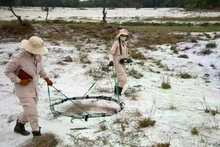 Actividades de desminado en la provincia de Quang Tri. (Foto: VNA)