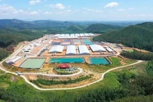 Empresa BAF Vietnam propone proyectos de construcción de granjas porcinas inteligentes. (Fuente: BAF)