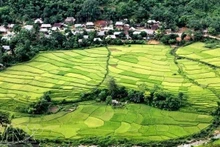 En la Reserva Natural de Pu Luong. (Fuente: vietnam.vnanet.vn)