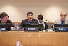 El vicecanciller Pham Minh Vu preside la reunión. (Foto: VNA)