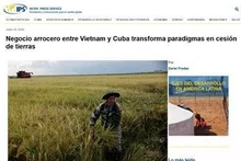 El artículo en la página de IPS (Fuente: VNA)