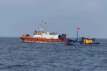 Quang Tri refuerza acciones para levantar “tarjeta amarilla” impuesta sobre el sector pesquero vietnamita. (Foto: VNA)