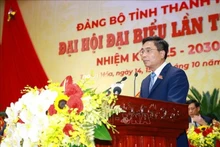 El secretario del Comité del PCV en la provincia de Thanh Hoa, Nguyen Doan Anh. (Foto: VNA)