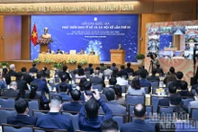 Panorama de la cita. (Foto: Nhan Dan)