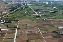 Foto de ilustración. (Fuente: VNA)