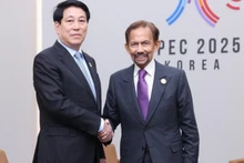 El presidente de Vietnam, Luong Cuong, y el sultán de Brunéi, Haji Hassanal Bolkiah, se reúnen durante la Cumbre de Líderes Económicos del Foro de Cooperación Económica Asia-Pacífico 2025, en Corea del Sur. (Foto: VNA)