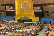 Un representante de la delegación vietnamita interviene en el acto de ratificación de la Convención de Hanói, celebrado en la tarde del 24 de diciembre de 2024 ante las Naciones Unidas. (Foto: VNA)