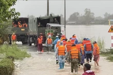 Las fuerzas competentes de Vietnam están concentrando todos los recursos para ayudar a la población del Centro y la Altiplanicie Occidental del país a superar las consecuencias de las históricas inundaciones. (Foto: VNA)
