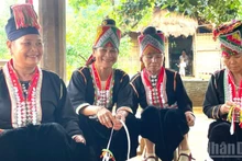 La “Semana de Gran Unidad Nacional: Patrimonio Cultural Vietnamita” 2025 contará con la participación de más de 200 compatriotas de 18 etnias. (Foto: Nhan Dan)