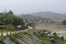 En la comuna de Mang But, en la provincia central de Quang Ngai. (Foto: VNA)