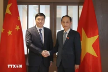 El ministro de Relaciones Exteriores de Vietnam, Le Hoai Trung (derecha), recibe a Wei Tao, presidente de la Región Autónoma Zhuang de Guangxi, de China. (Foto: VNA)