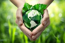 Foto de ilustración. (Fuente: scp.gov.vn)