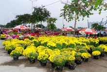 Mercado de flores de primavera Binh Dien 2026: Un evento inolvidable para el Tet. (Foto: VNA)