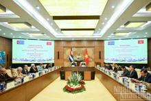 Panorama de la reunión. (Foto: Nhan Dan)