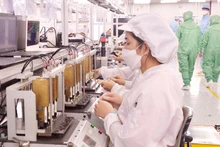 Foto de ilustración. (Fuente: Nhan Dan)