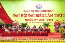 En la primera asamblea del Comité del Partido Comunista de Vietnam en la provincia de Ninh Binh. (Foto: VNA)