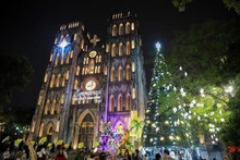 El área alrededor de la Catedral de San José en el barrio de Hoan Kiem está decorada para la Navidad de 2025. (Foto: VNA)