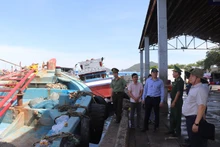 El vicepresidente del Comité Popular de Ciudad Ho Chi Minh Hoang Nguyen Dinh inspecciona las labores de prevención y lucha contra la pesca ilegal, no declarada y no reglamentada en el puerto de Hung Thai, en la comuna de Long Hai. (Foto: VNA)