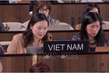 La embajadora Nguyen Thi Van Anh, jefa de la delegación permanente de Vietnam ante la Unesco, presenta la iniciativa en la 222ª reunión del Consejo Ejecutivo de la Unesco. (Foto: VNA)