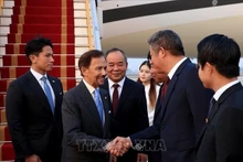 El sultán de Brunéi, Haji Hassanal Bolkiah, llega a Hanói. (Foto: VNA)