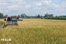 Foto de ilustración. (Fuente: VNA)