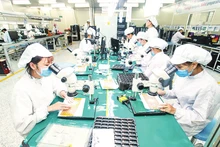 Foto de ilustración. (Fuente: Nhan Dan)