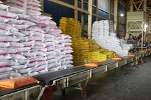 Vietnam supera siete millones de toneladas de arroz exportado pese a caída de precios. (Foto: VNA)