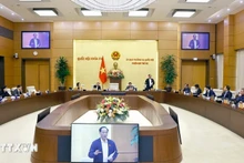 Panorama de la sesión. (Foto: VNA)