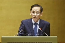 El ministro de Relaciones Exteriores, Le Hoai Trung, interviene en la cita. (Foto: VNA)