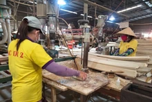 Foto de ilustración. (Fuente: VNA)