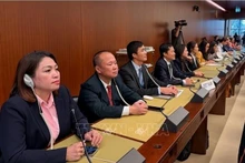 Delegados vietnamitas en la cita. (Foto: VNA)