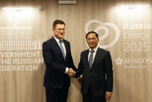 El viceprimer ministro vietnamita Bui Thanh Son (derecha) se reúne con su homólogo ruso, Aleksandr Novak. (Foto: Nhan Dan)