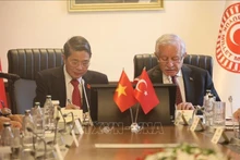 El vicepresidente de la Asamblea Nacional de Vietnam Nguyen Duc Hai sostiene una reunión de trabajo con su homólogo turco, Celal Adan. (Foto: VNA)