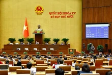 Panorama de la sesión de hoy. (Foto: VNA)