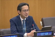 El embajador Do Hung Viet, jefe de la misión permanente de Vietnam ante la Organización de las Naciones Unidas y presidente designado de la Conferencia de Examen del TNP. (Foto: VNA)