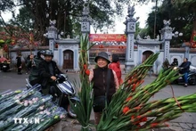 Residentes de Hanói van de compras para el Tet. (Foto: VNA)