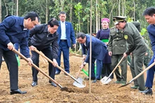 El presidente de Vietnam, Luong Cuong, y delegados plantan un arbolito en la ceremonia.