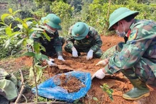 Vietnam lanza una campaña de 500 días y noches para la búsqueda y la repatriación de restos de mártires. (Foto: VNA)