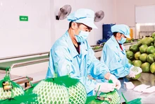 Foto de ilustración. (Fuente: Nhan Dan)