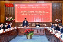 El vicepresidente de la Asamblea Nacional de Vietnam Vu Hong Thanh interviene en la actividad. (Foto: Nhan Dan)