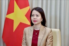La viceministra de Relaciones Exteriores Nguyen Minh Hang. (Foto: VNA)
