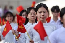 Foto de ilustración. (Fuente: VNA)