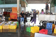Durante la temporada de pesca, el puerto pesquero de Vam Lang, en la provincia de Dong Thap, da empleo a un gran número de trabajadores locales. (Foto: VNA)