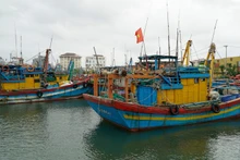 Foto de ilustración. (Fuente: VNA)