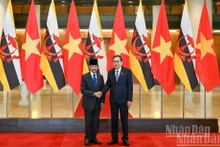 El presidente de la ANV, Tran Thanh Man, y el sultán de Brunéi Darussalam, Haji Hassanal Bolkiah.