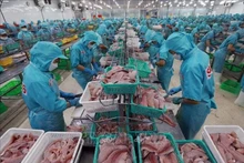 Los productos acuícolas son uno de los principales sectores de exportación con alto crecimiento en los primeros seis meses de 2025 (Foto: VNA)