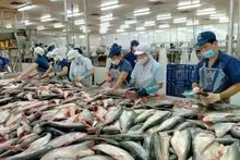 Procesamiento de pescado Tra para la exportación (Foto: VNA)